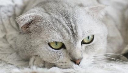 葫芦岛伴游，定制QQ：3494206190微信：act1322